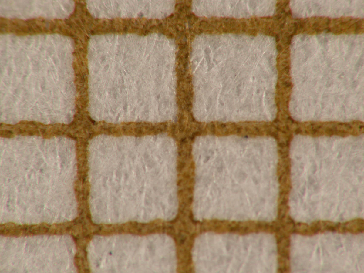 Test grossissement Raynox CM-3500 bonnette 24X à focale maximale (420mm équiv.)