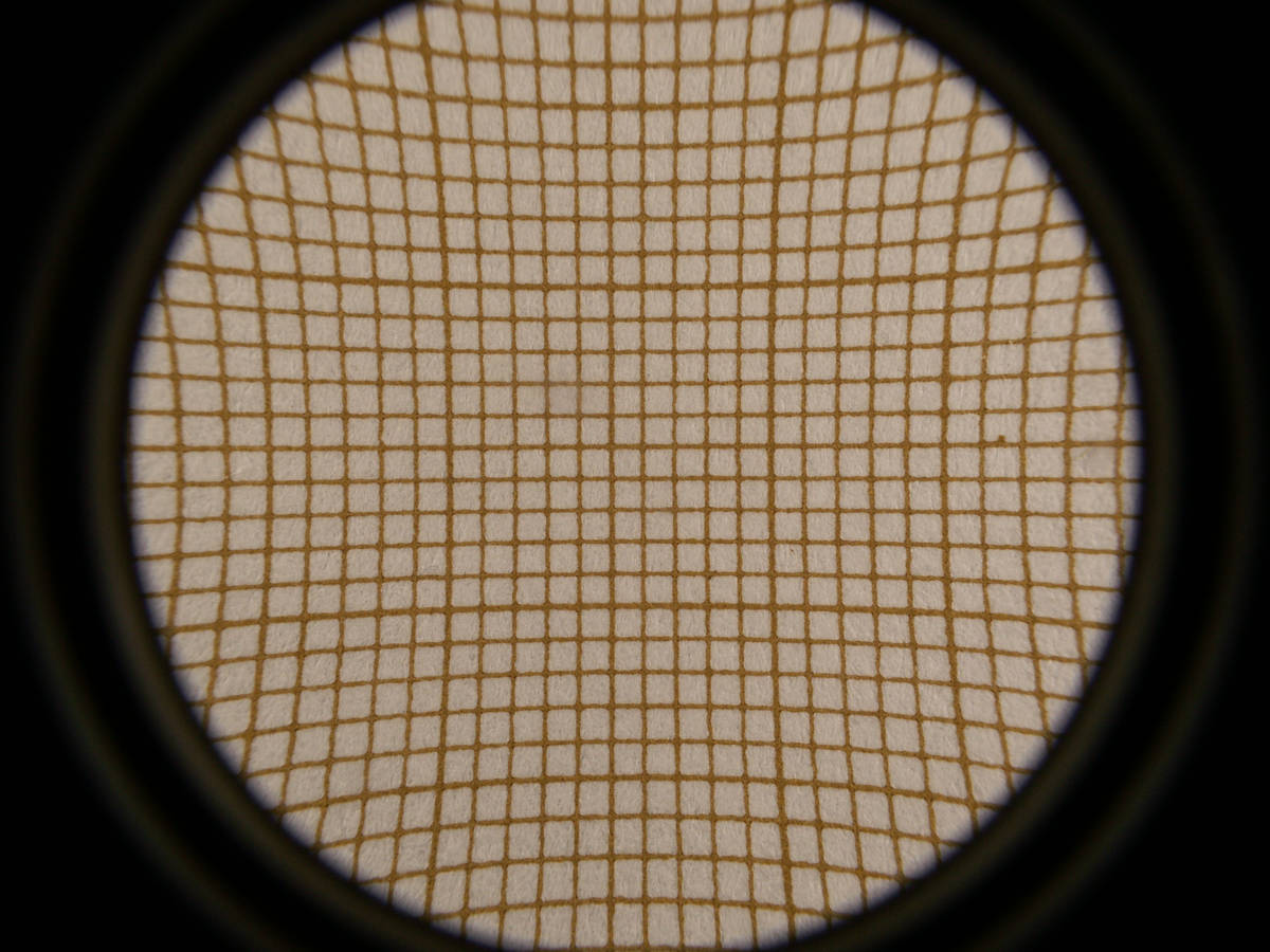 Test grossissement Raynox CM-3500 bonnette 24X à focale minimale (35mm équiv.)